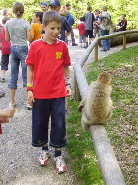 Sebastian hat zwar Geburtstag, der Affe ist allerdings leider kein Geschenk...