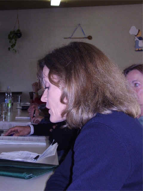 Frau Braun bei ihrem Vortrag ber die Arbeit des Stiftungsrats.